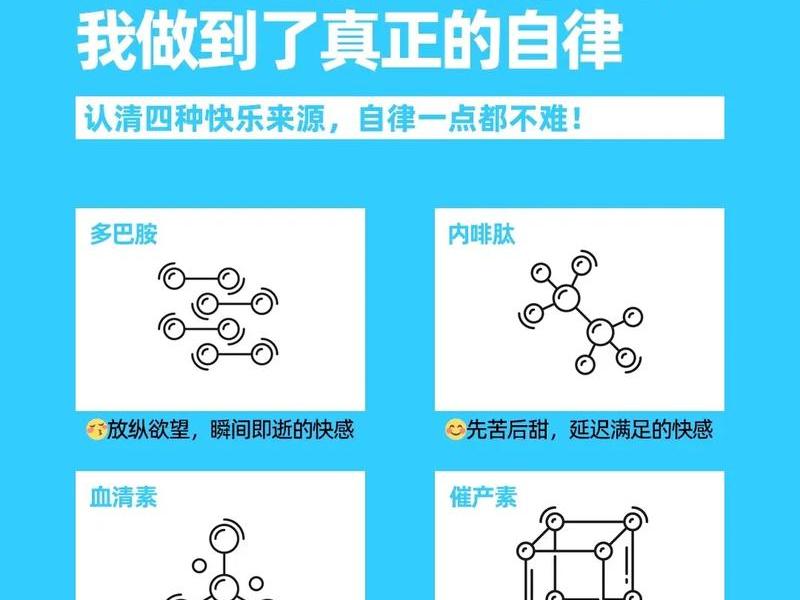 人到中年远离多巴胺靠近内啡肽、人到中年远离多巴胺靠近内啡肽的意思