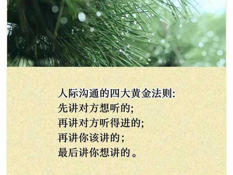 人际沟通与表达大学生选修课;大学选修课人际交往与沟通 人际沟通与表达大学生选修课;大学选修课人际交往与沟通