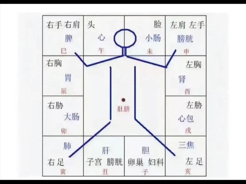 7宫象征的身体疾病，7宫象征的身体疾病是什么