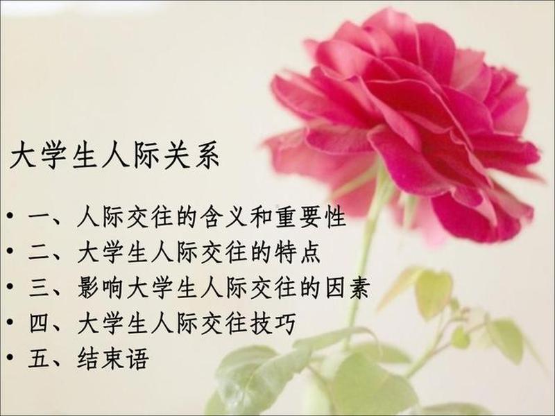 大学生如何处理人际关系ppt课件 - 大学生如何正确处理人际关系 大学生如何处理人际关系ppt课件 - 大学生如何正确处理人际关系