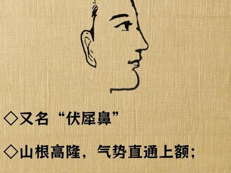 哪一种鼻子的人命运比较好;哪种鼻子命不好 哪一种鼻子的人命运比较好;哪种鼻子命不好