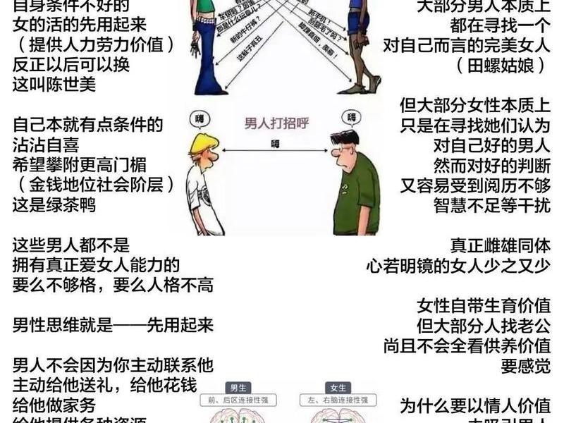 女性人际关系讲解，女性人际关系讲解图