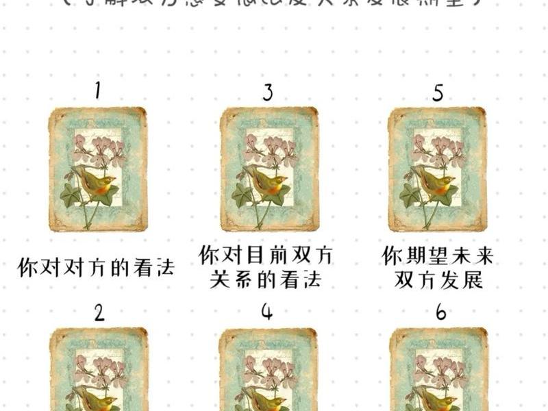 你的人际关系会怎么样塔罗牌，人际关系的塔罗牌阵