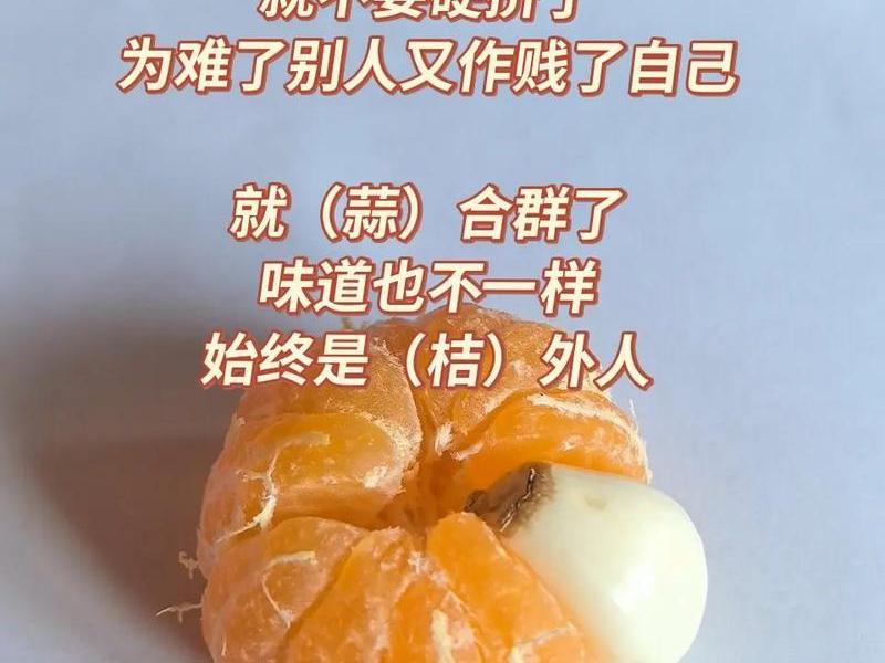 不庸俗的人际关系是什么,不庸俗的人际关系是什么样的 不庸俗的人际关系是什么,不庸俗的人际关系是什么样的