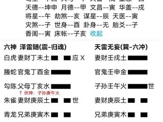 六爻测感情案例详解、六爻测感情案例详解大全