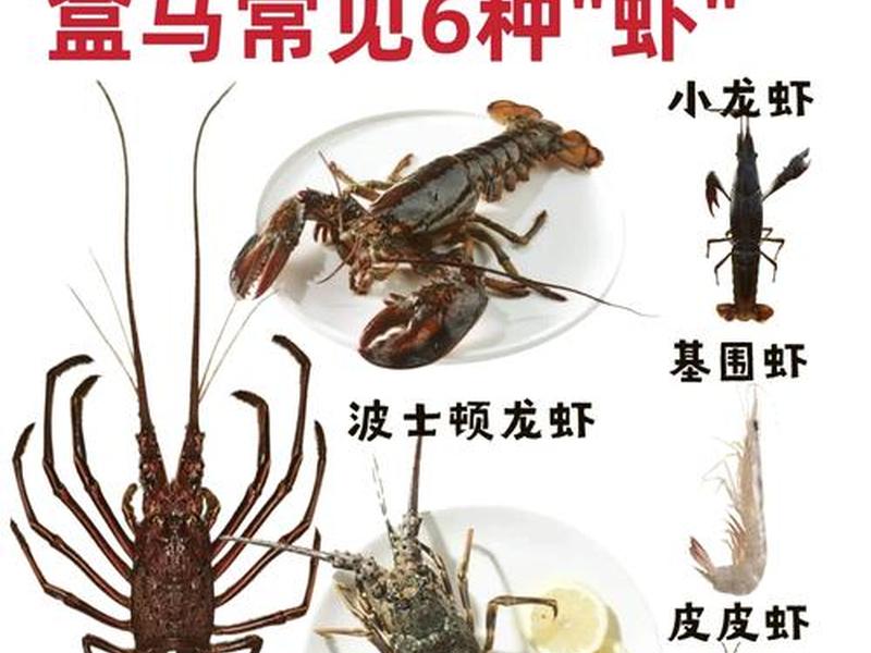 大龙虾之间的沟通、龙虾之间怎么交流