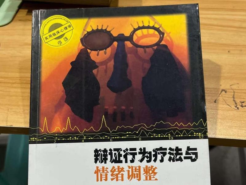 dbt辩证行为疗法 辩证行为疗法(dbt) dbt辩证行为疗法 辩证行为疗法(dbt)