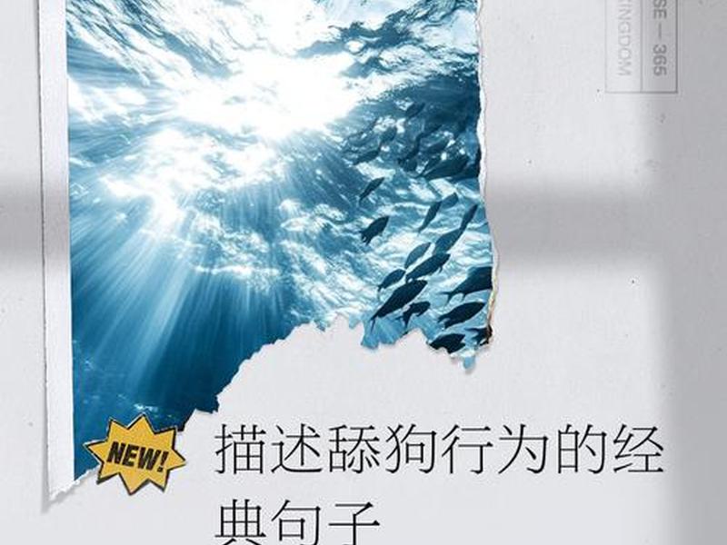 关于朋友之间的舔狗行为、关于朋友之间的舔狗行为的句子 关于朋友之间的舔狗行为、关于朋友之间的舔狗行为的句子