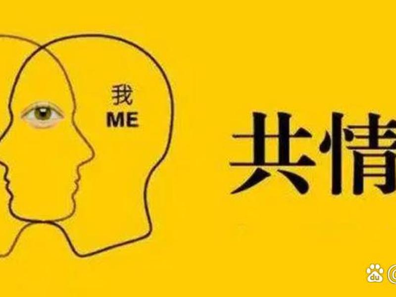 不属于人际关系,不属于人际关系和谐 不属于人际关系,不属于人际关系和谐