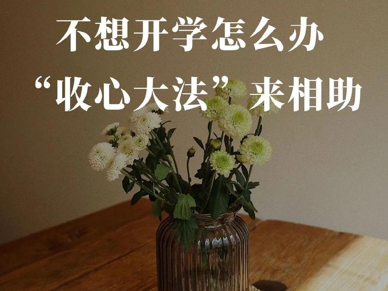 不想开学怎么办有趣回答(不想开学怎么办有趣回答问题) 不想开学怎么办有趣回答(不想开学怎么办有趣回答问题)