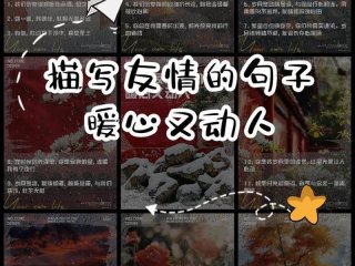 关于友情的好段 关于友情的好段落摘抄200字