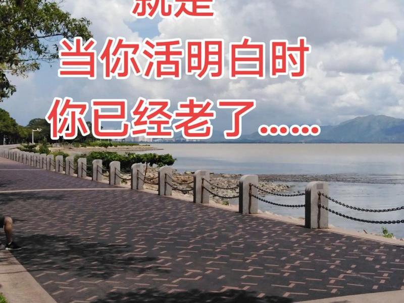 不懂人事的图片;不懂事的人的图片 不懂人事的图片;不懂事的人的图片