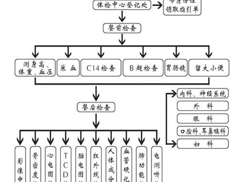 健康档案怎么建立和管理电子系统 - 健康档案建立与管理流程 健康档案怎么建立和管理电子系统 - 健康档案建立与管理流程