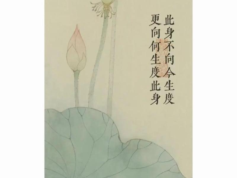 佛看前生今世,佛曰前世今生 佛看前生今世,佛曰前世今生