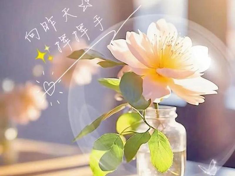 卡耐基女人最大的自律;卡耐基一个女人最大的自律 卡耐基女人最大的自律;卡耐基一个女人最大的自律