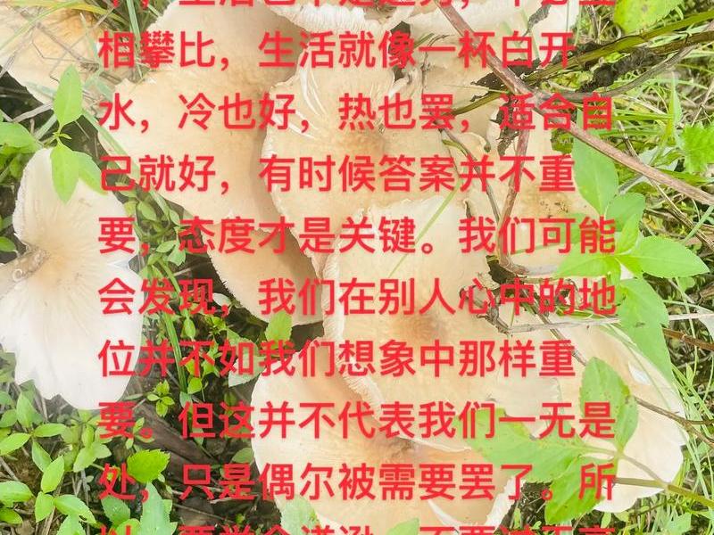不攀比的句子,过自己的生活不攀比的句子 不攀比的句子,过自己的生活不攀比的句子