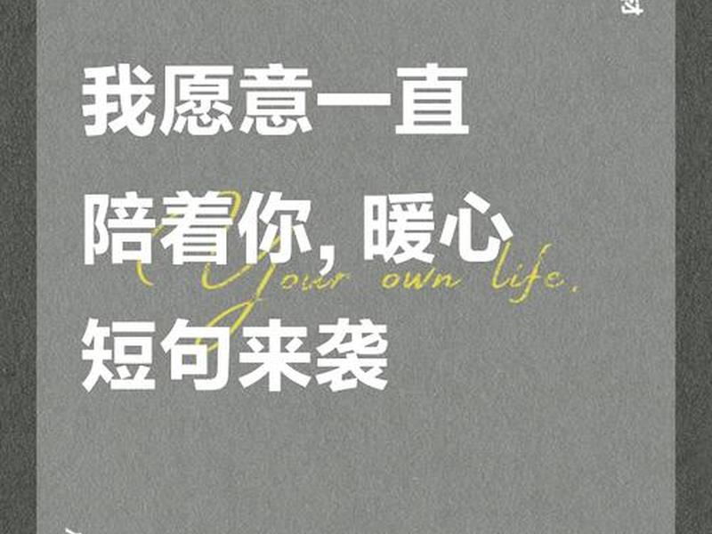 关于陪伴的情感句子;关于陪伴的情感句子摘抄 关于陪伴的情感句子;关于陪伴的情感句子摘抄