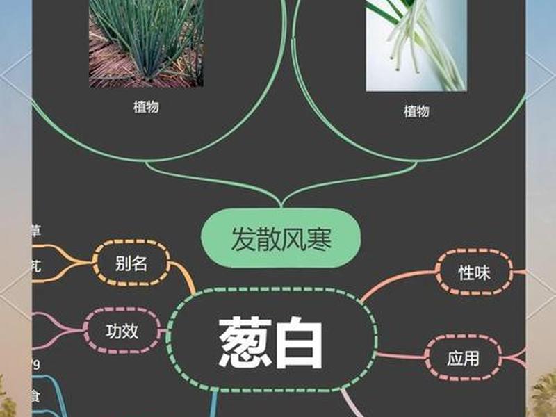 佛教喝中药的说法 - 佛教喝中药的说法有哪些 佛教喝中药的说法 - 佛教喝中药的说法有哪些
