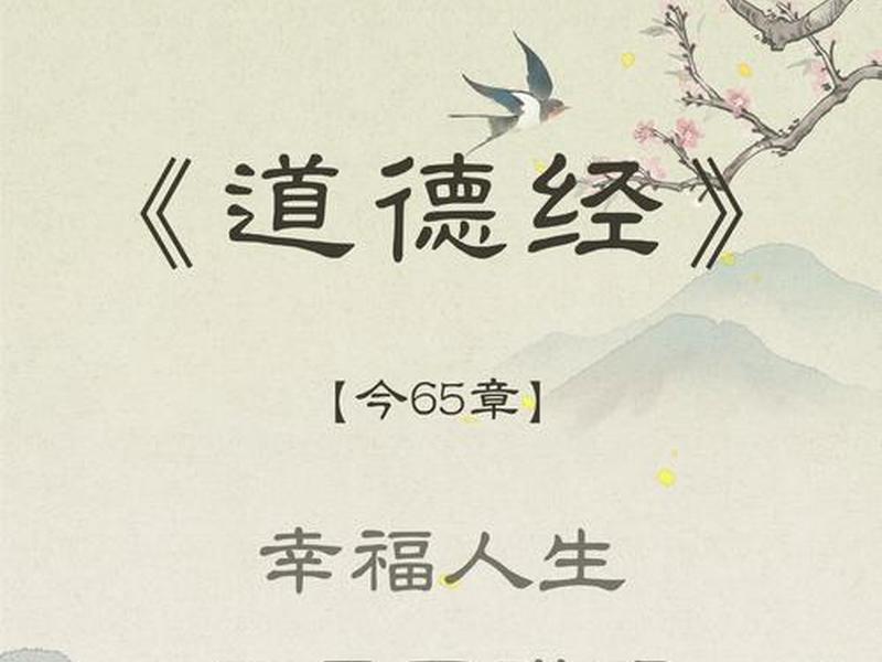 国学智慧与人生,国学智慧与人生全书全译全解 当当 国学智慧与人生,国学智慧与人生全书全译全解 当当