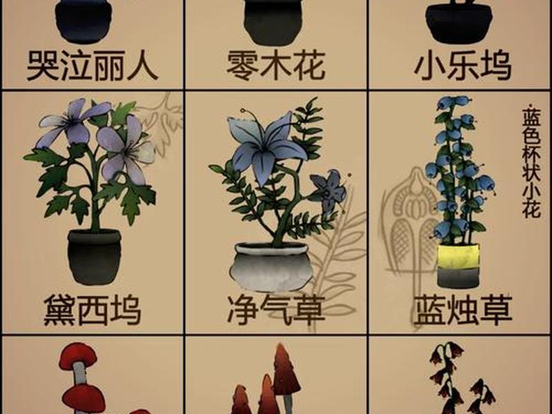 关于人际关系的植物名称 关于人际关系的植物名称是什么