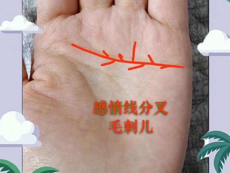 从感情线看性格(从感情线看性格特点) 从感情线看性格(从感情线看性格特点)