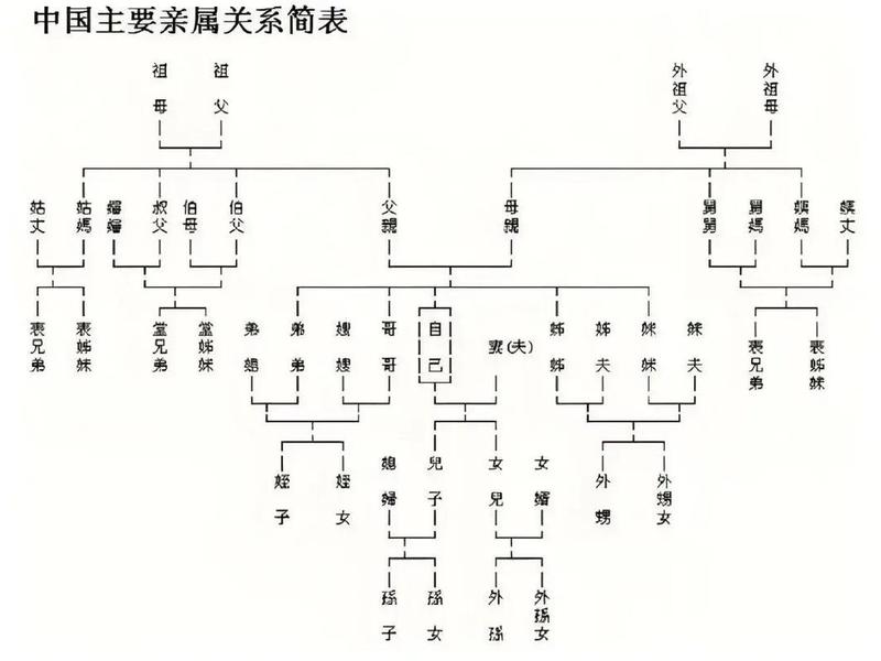 亲戚人际关系相处指南 亲戚人际关系相处指南pdf 亲戚人际关系相处指南 亲戚人际关系相处指南pdf