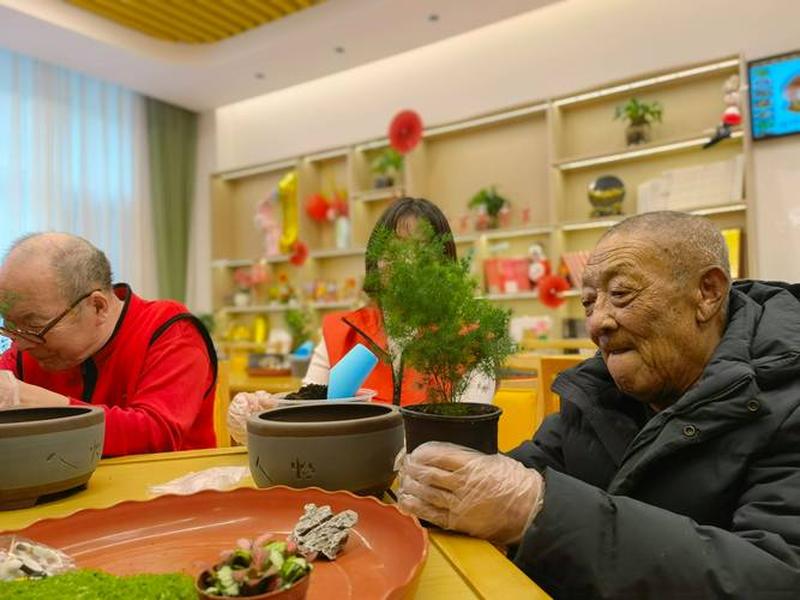 北京老人情感陪伴(北京老人情感陪伴服务平台) 北京老人情感陪伴(北京老人情感陪伴服务平台)