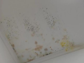 墙壁发霉了对身体有害吗，墙壁发霉对身体有没有伤害