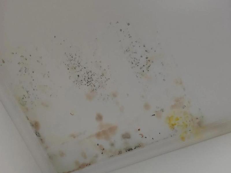 墙壁发霉了对身体有害吗，墙壁发霉对身体有没有伤害