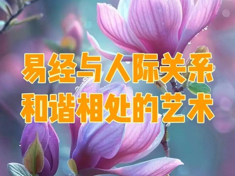 和谐的人际关系重要嘛知乎 - 和谐的人际关系非常重要,表现在()