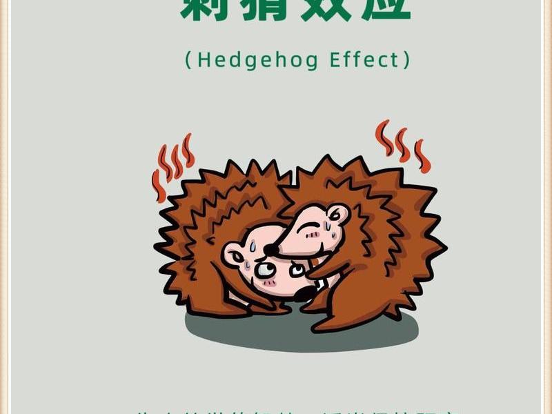刺猬型人际关系 - 人际关系中的刺猬理论解释 刺猬型人际关系 - 人际关系中的刺猬理论解释