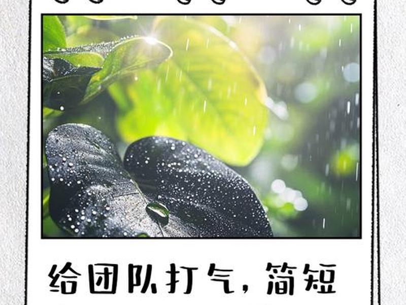 公司团队的励志句子 公司团队的励志句子大全 公司团队的励志句子 公司团队的励志句子大全