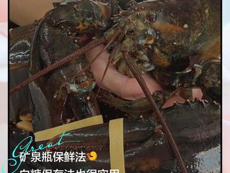 大龙虾怎么处理人际关系;大龙虾怎么吃不丢人 大龙虾怎么处理人际关系;大龙虾怎么吃不丢人