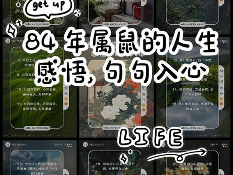 84属鼠人职场人际关系，84属鼠的人