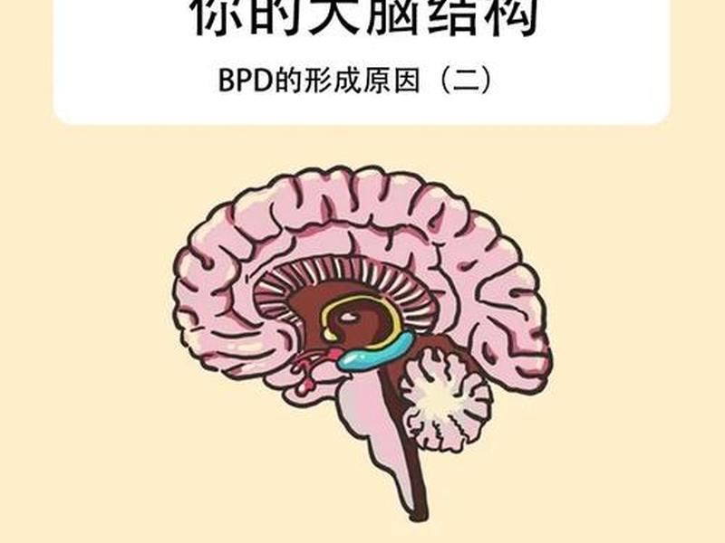 大脑自私对人际关系的影响,大脑自私对人际关系的影响有哪些 大脑自私对人际关系的影响,大脑自私对人际关系的影响有哪些