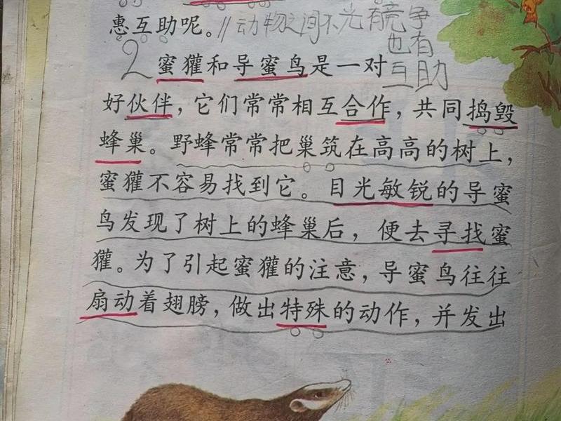 哪个动物人际关系好（哪个动物人际关系好呢）