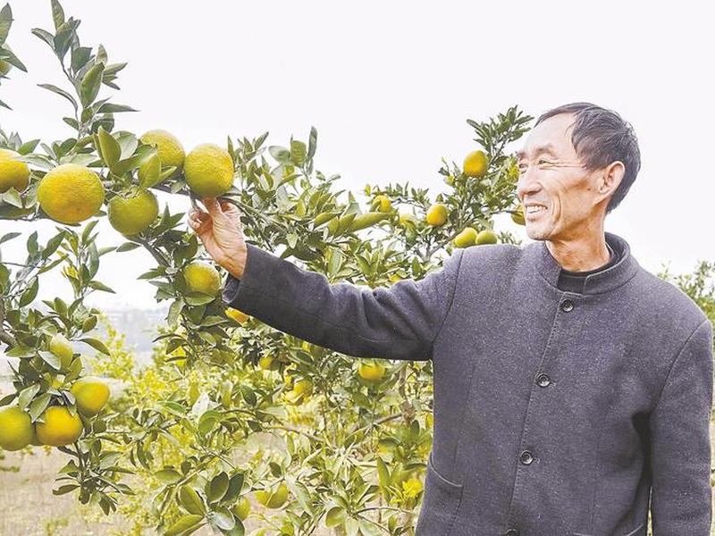 刘焕民人际关系怎么样 刘焕民人际关系怎么样了 刘焕民人际关系怎么样 刘焕民人际关系怎么样了
