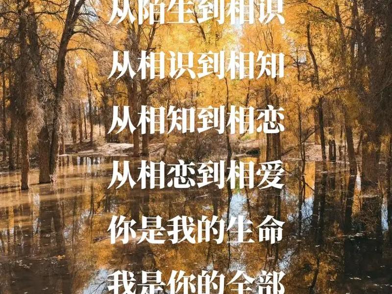 你从相识到相知到相爱(你从相识到相知到相爱歌词) 你从相识到相知到相爱(你从相识到相知到相爱歌词)