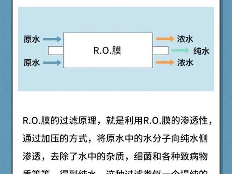 净水处理情况 - 净水处理情况说明 净水处理情况 - 净水处理情况说明