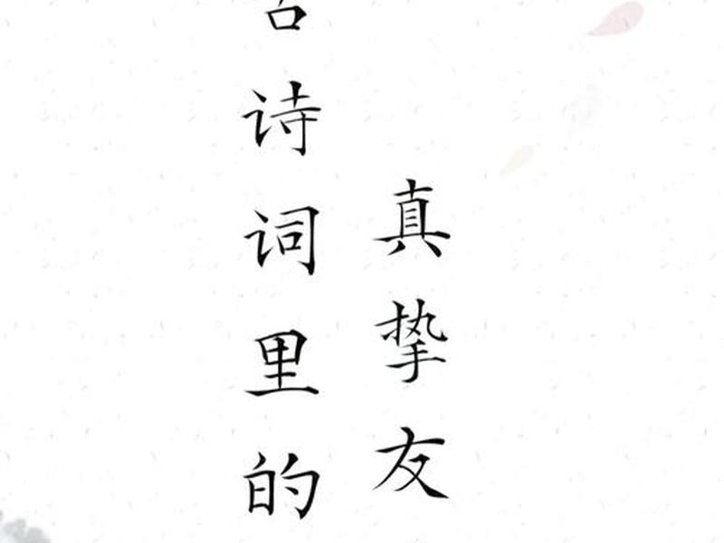 关于陪伴的诗句、关于陪伴的诗句朋友