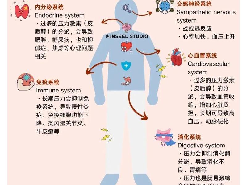 大学生人际关系压力、大学生人际关系压力心理危机成因及对策研究 大学生人际关系压力、大学生人际关系压力心理危机成因及对策研究