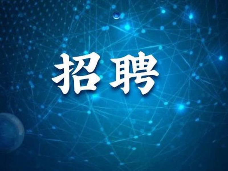 北京专业咨询（北京专业咨询公司招聘）