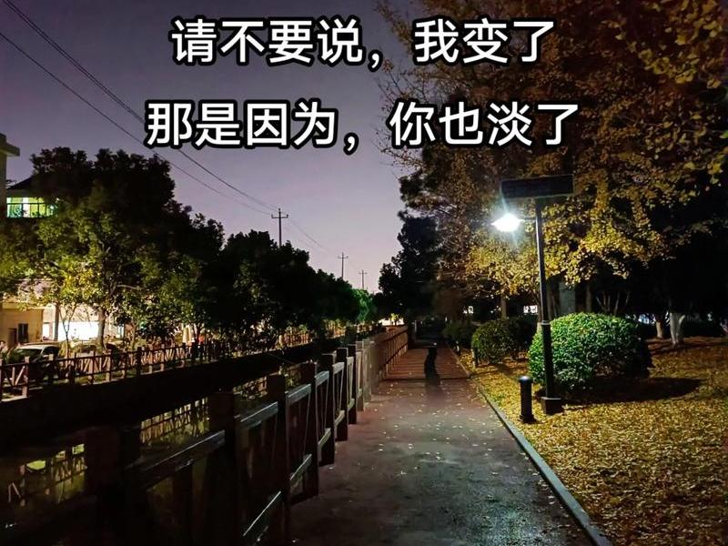 代表关系淡了的图片，代表关系淡了的图片唯美
