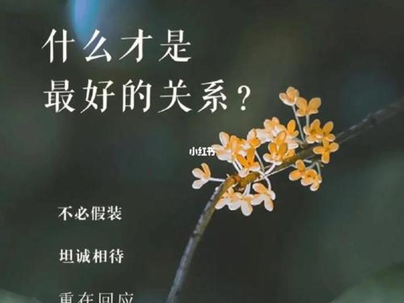 买卖关系就是最好的关系 - 买卖关系就是最好的关系吗 买卖关系就是最好的关系 - 买卖关系就是最好的关系吗