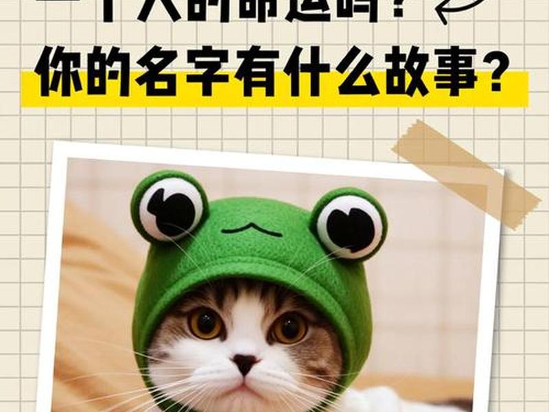 名字影响一个人;名字会影响一个人的命运吗,有没有科学依据 名字影响一个人;名字会影响一个人的命运吗,有没有科学依据