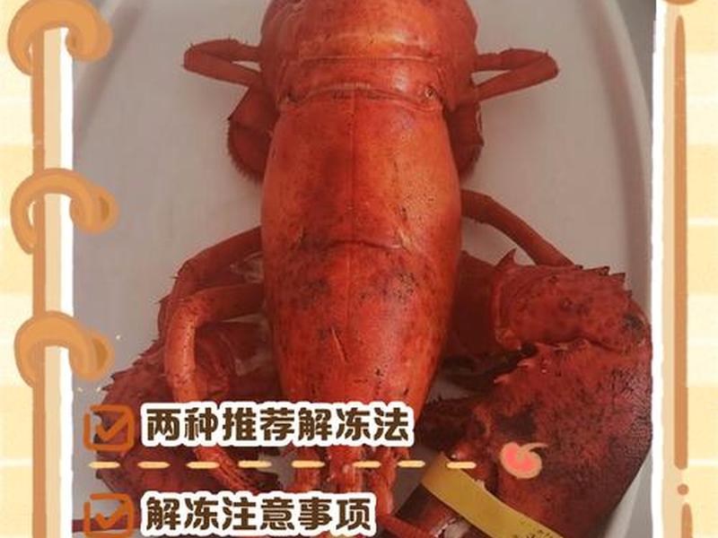 大龙虾怎么处理可以多放几天;大龙虾怎么存放时间可以久一些 大龙虾怎么处理可以多放几天;大龙虾怎么存放时间可以久一些