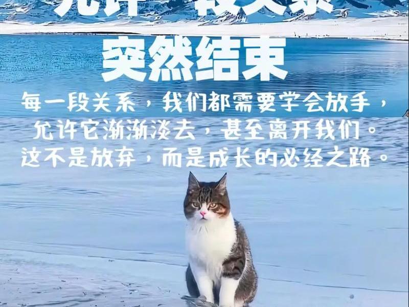 不想维持的人际关系让我觉得很累 - 不想维持的人际关系让我觉得很累怎么办 不想维持的人际关系让我觉得很累 - 不想维持的人际关系让我觉得很累怎么办