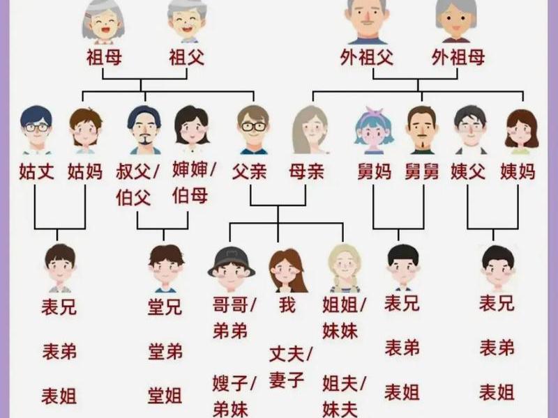 亲戚关系图表 - 亲戚关系图表图片 亲戚关系图表 - 亲戚关系图表图片