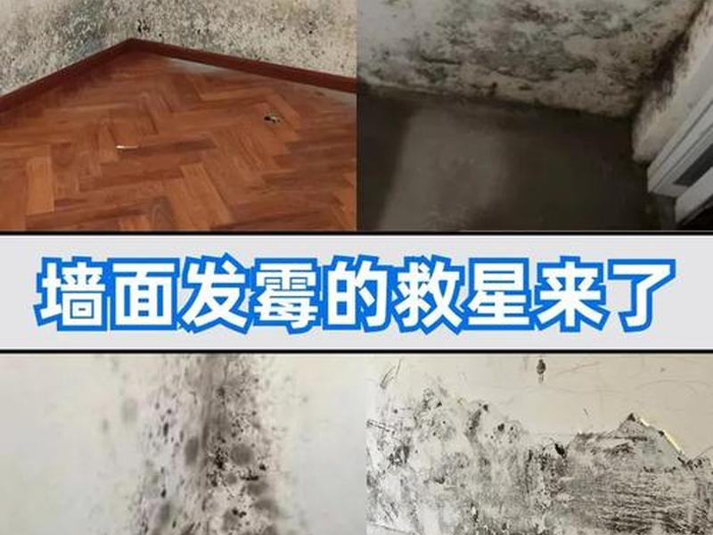 墙壁发霉的处理方法（墙壁发霉的处理方法视频）