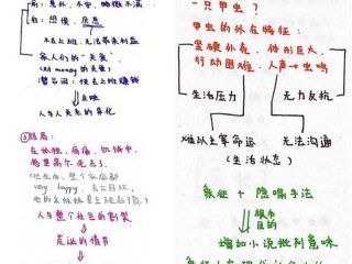 变形计人物关系图 变形计人物关系图高清